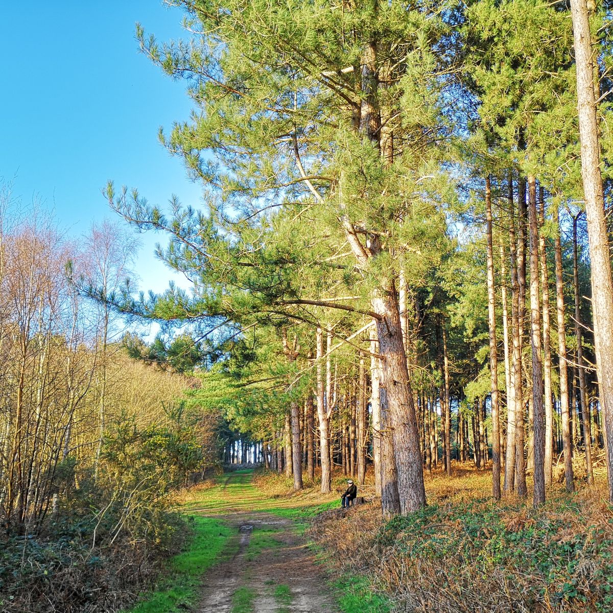 Nature reserves around Leiston-cum-Sizewell Suffolk