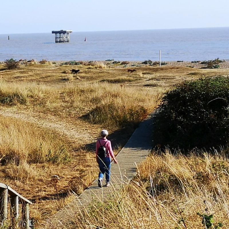 Walking down the dunes boardwalk at Sizewell beach Suffolk