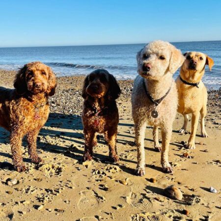 happy hounds on dog-friendly Sizewell beach